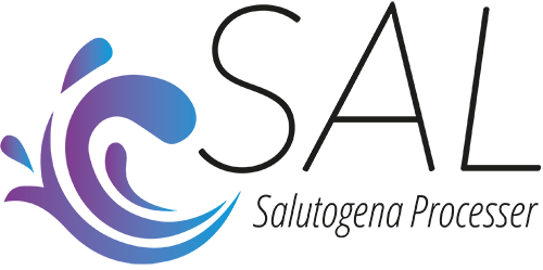 Salutogena Processer